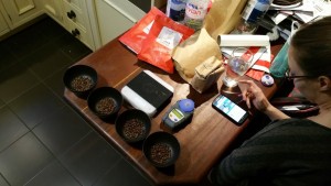 cupping3